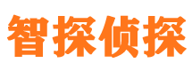 当阳外遇出轨调查取证